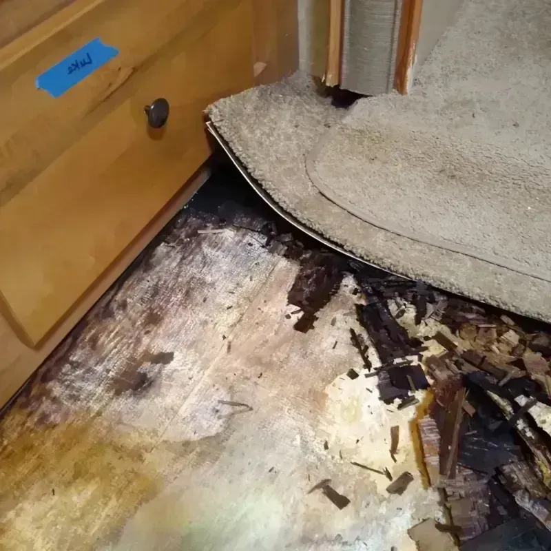 Best Wood Floor Water Damage Service in Lawrenceburg, TN